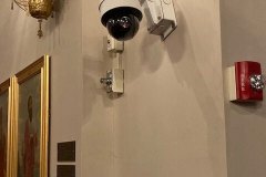 Livestreaming-Camera-in-Sanctuary